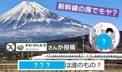 新幹線の「真ん中肘掛け」は誰のもの？使用権めぐる“モヤモヤ”に「隣がいないときは自分のもの」「仕切りだと思っている」の声
