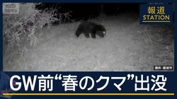 “人間由来の食べ物”学習し執着か…GW前に“春のクマ”出没相次ぐ