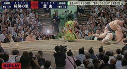 「それでも勝つのが稀勢の里」　執念の“足残し”で3連勝！　豊山の猛攻をしのぎ、起死回生の突き落とし