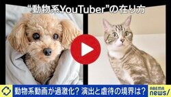 演出と虐待の境界線は？「動物系YouTuber」炎上の背景 「ペットはビジネスパートナーと発信した方がいい」 飼い主が持つべき意識とは