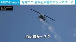 「最高だった。一生に一度の体験だね」空からマシュマロが降ってくる!? 毎年恒例イベントに子どもたちも大興奮 米