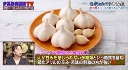 ニンニクの糖度は果物よりもダントツ高い？ バイきんぐ小峠の「驚きリアクション」に大盛り上がり