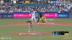 ショウヘイの打球が飛んできた！ 大谷翔平の大飛球が目の前に→観戦キッズの“可愛すぎる”リアクションの瞬間