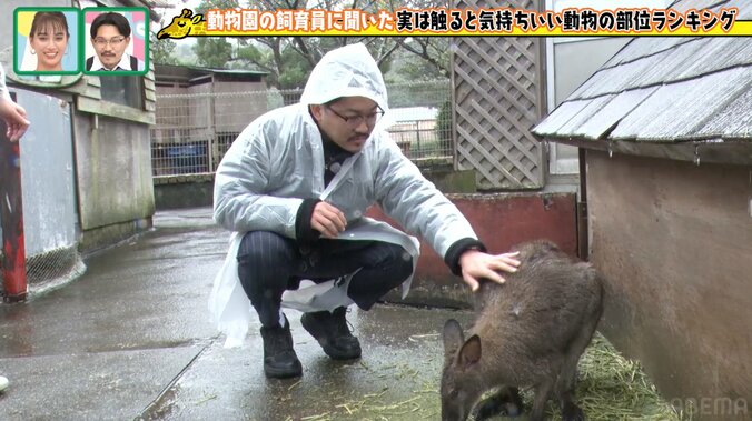 オズワルド伊藤、40分遅刻で雨の動物園ロケ「仕事した感じがしない」と不完全燃焼 2枚目