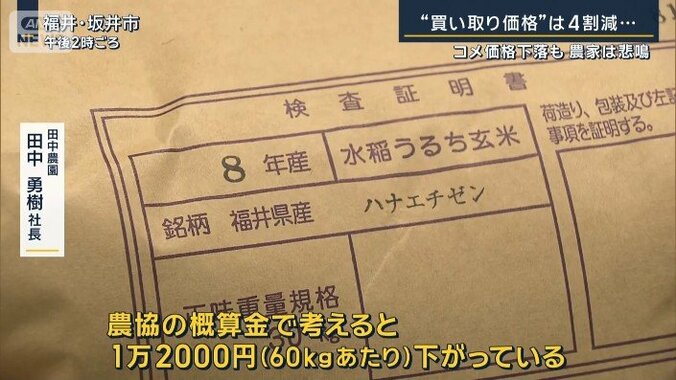 田中農園　田中勇樹社長