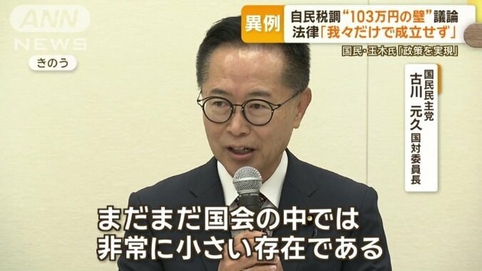 国民民主党　古川元久国対委員長