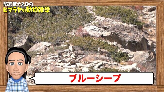 【写真・画像】　2枚目