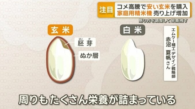 栄養面でもメリット