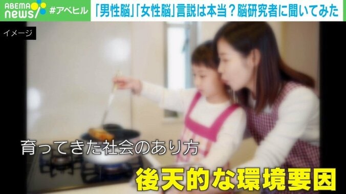 「男性脳」「女性脳」言説は本当？脳研究者「安直な二元論は避けて」脳構造の“男女差”は認知・行動の差に直結せず 4枚目