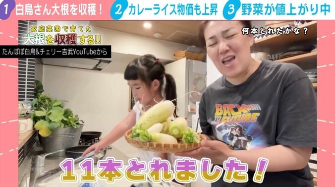 たんぽぽ白鳥&チェリー吉武YouTubeから