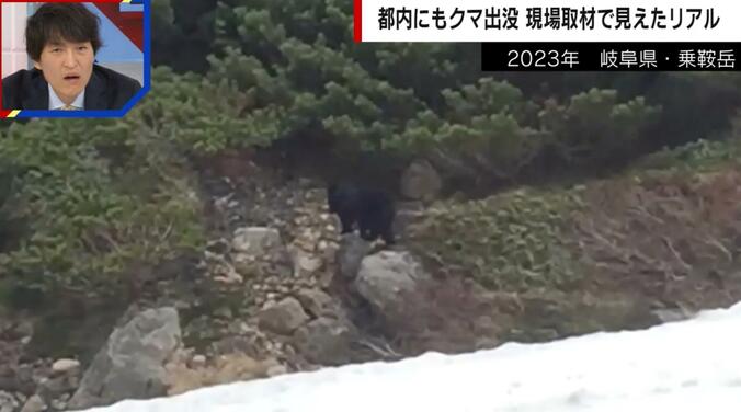 スキーナビゲーター独自のクマ映像