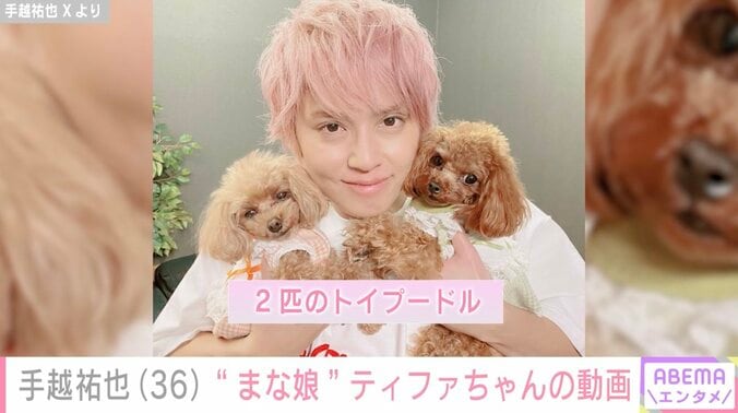 【写真・画像】元NEWS 手越祐也「ネジの外れたパパ」愛犬にデレデレな姿に反響「かわいい親子」「ステキな歌声」　1枚目