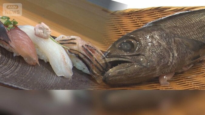 おいしいけどワケあり食材　食卓に乗らない「低流通魚」　なぜ？成長したら価値低下 1枚目