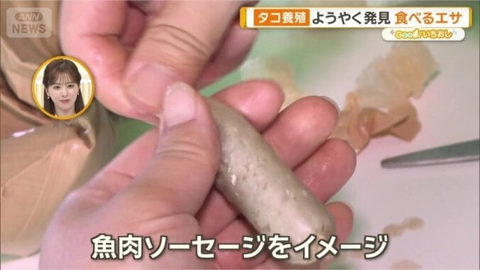 新たな餌を独自開発