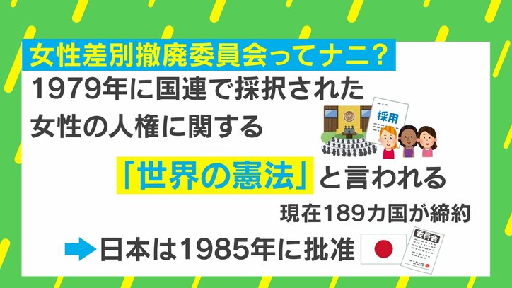 女性差別撤廃委員会とは