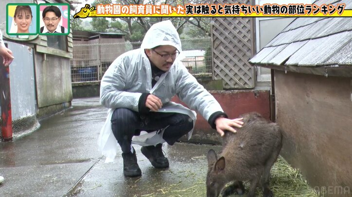 オズワルド伊藤、40分遅刻で雨の動物園ロケ「仕事した感じがしない」と不完全燃焼