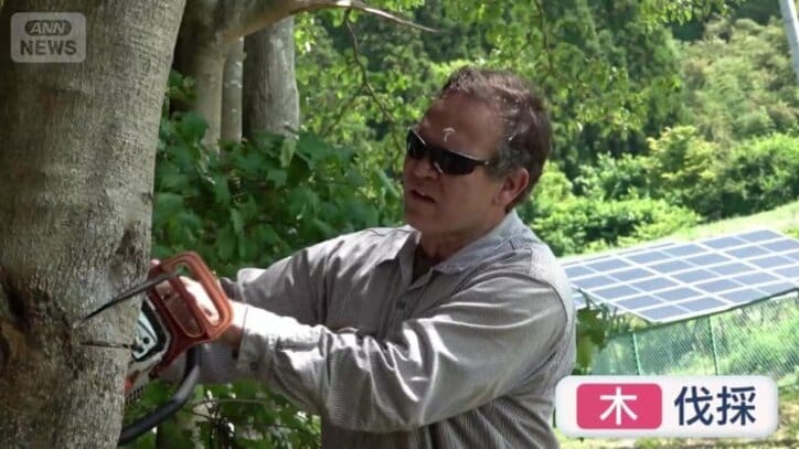木を伐採