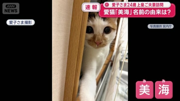 愛子さまが撮影された写真
