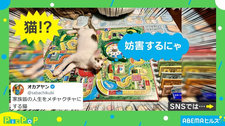 「家族の人生をめちゃくちゃに…」ゲームの“乱入者” が「思いがけない災難」「これは怒れないのです♪」と話題