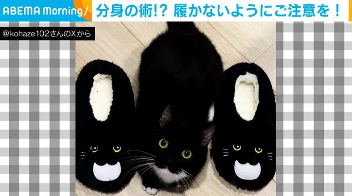 猫とそっくりなスリッパ