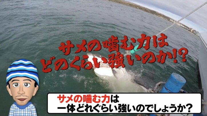 【写真・画像】【ナスD】コピーして使ってください 2枚目