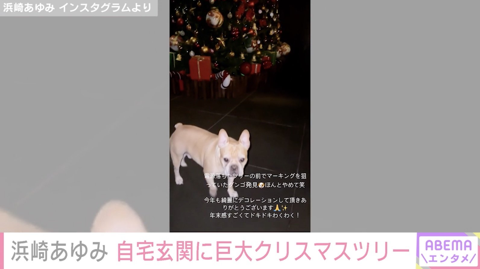 浜崎あゆみ 自宅の豪華なクリスマスツリー 愛犬を公開 年末感すごくてドキドキわくわく Abema Times ｄメニューニュース Nttドコモ