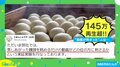「この湯気たまらん」蒸し上がったまんじゅうを眺めるだけなのに…「幸せな気持ちになる動画」釘付けになる人続出