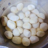 東原亜希『そうよ。』