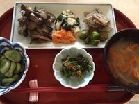 小林麻央『おやすみなさい』