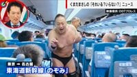 【映像】新幹線の通路で腕挫十字固