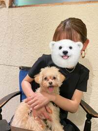 ノンスタイル井上嫁『ブログ始めました✨』