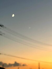 北斗晶『今日の夕食』