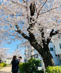 ココリコ遠藤嫁『春の予感』