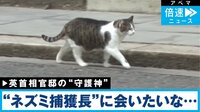 【就任12年】会えるかな?英首相官邸の"ネズミ捕獲長"