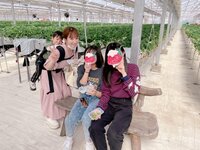 辻希美『いちご狩り♡』