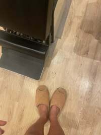 市川團十郎白猿『はい。』