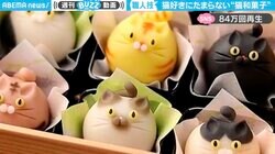 個性あふれる表情をした“猫和菓子”に「思わず息を飲みました」「にゃんこ好きにはたまらない」悶絶の声