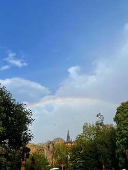  料理研究家、GW初日のTDSで初めて見たもの「歓声があがりました」