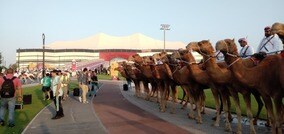 ［カタール通信 01］現地取材はトラブルいっぱい　カタールに乗り込んだライターたちの苦労とは!?