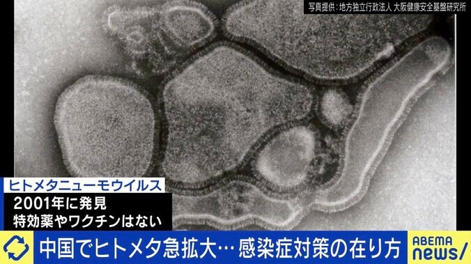 ヒトメタニューモウイルス