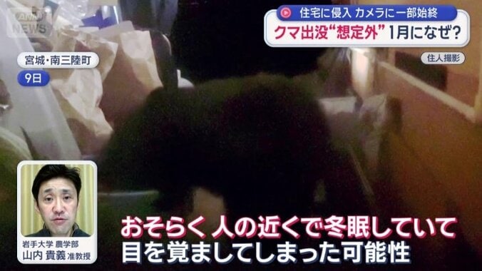 「近くで冬眠していて目を覚ましてしまった可能性」