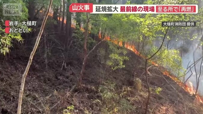 パチパチと音を立て燃える山林