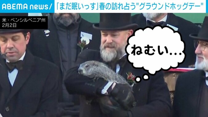 グラウンドホッグ