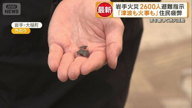 枯れ葉のようなものが降ってきた