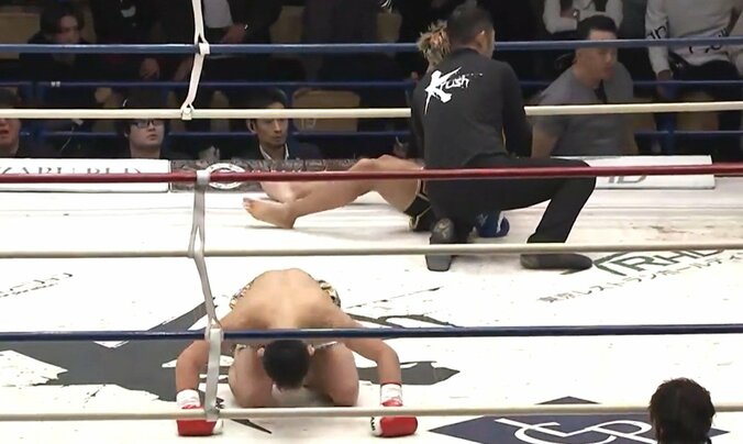 【写真・画像】　1枚目