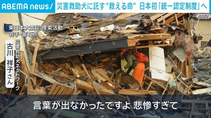 東日本大震災 捜索活動