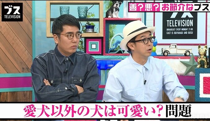 板野友美の妹・成美、犬の写真を送りつけてくる友人にうんざり 2枚目