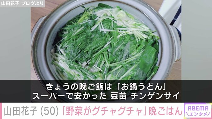 山田花子 ブログより