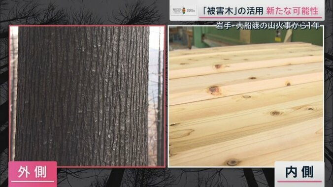 “被害木”の外側と内側