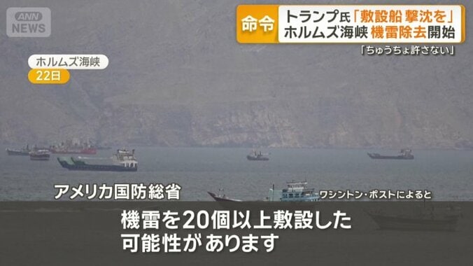 「機雷を20個以上敷設した可能性」